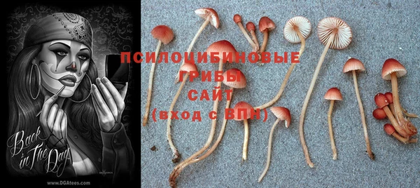 крисы Алексеевка