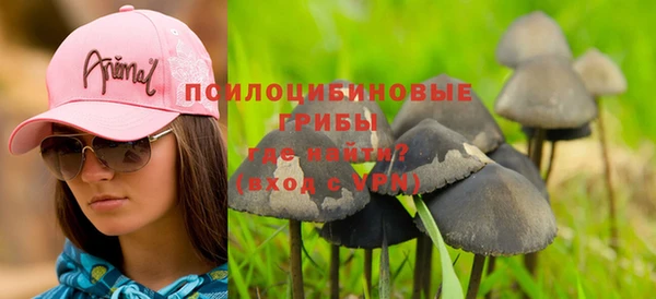 ГАЛЛЮЦИНОГЕННЫЕ ГРИБЫ Алзамай