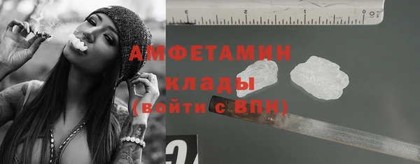 ГАЛЛЮЦИНОГЕННЫЕ ГРИБЫ Алзамай