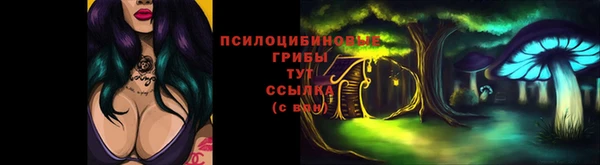 крисы Алексеевка