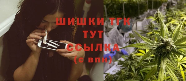 ГАЛЛЮЦИНОГЕННЫЕ ГРИБЫ Алзамай