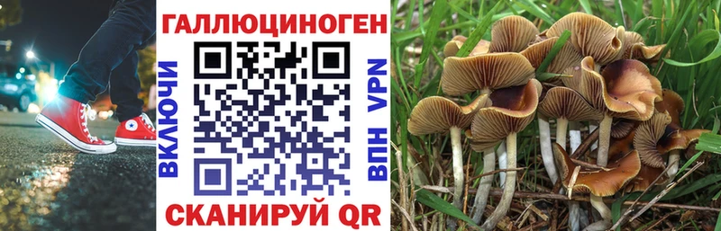 Галлюциногенные грибы MAGIC MUSHROOMS Тихвин