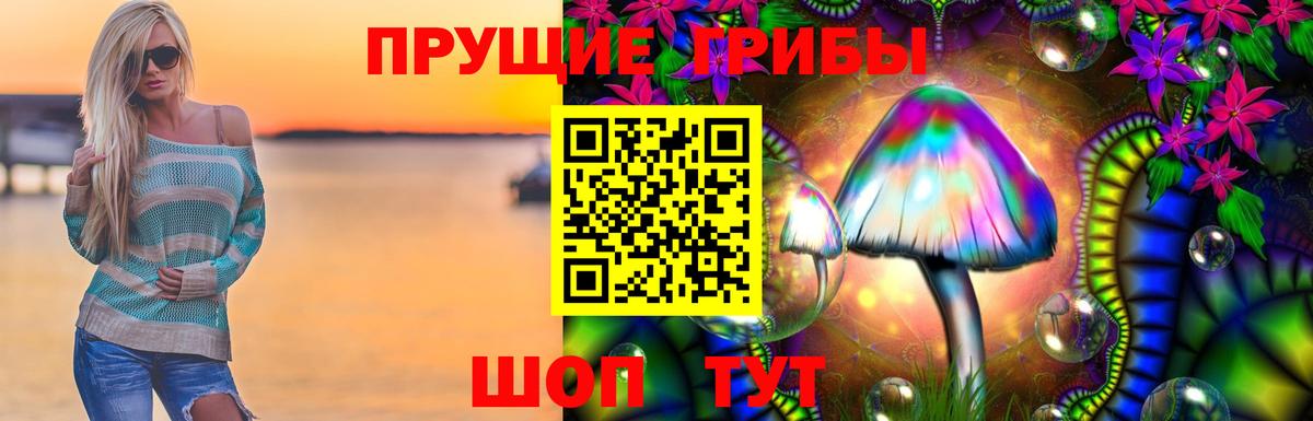 Псилоцибиновые грибы MAGIC MUSHROOMS Тихвин